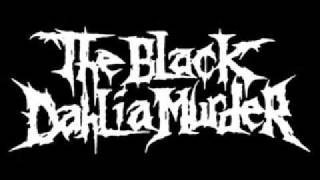 Video Burning the hive The Black Dahlia Murder