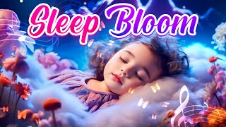 Soothing Baby Lullaby For Brain Blossom Baby Sleep Music