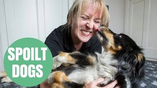 Woman offers massages to dogs suffering aches and pains