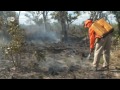 Brazil: Firefighting Against Glimate Change | Global 3000