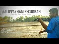 Aalippazham Perukkan Violin | Sanjay Violin | My Dear Kuttichathan | Ilayaraja | S Janaki |