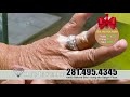 Watching video DUC JEWELRY diamond party 2018