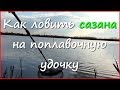 Рыбалка на карася и сазана в апреле Рыбалка на карася и сазана в апреле