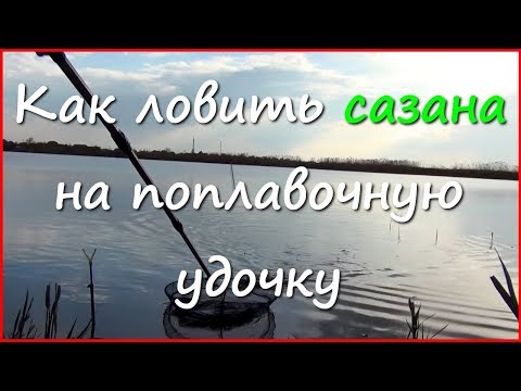 видео ловля сазана ранней весной видео ловля сазана ранней весной