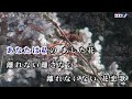 三山ひろし 【花恋歌 ～はなれんか～】カラオケ