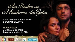 Teaser Promocional Aos Pombos ou à Síndrome dos Gatos (1 min)