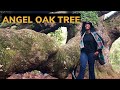 The real legacy behind the Angel Oak Tree near Charleston, SC
