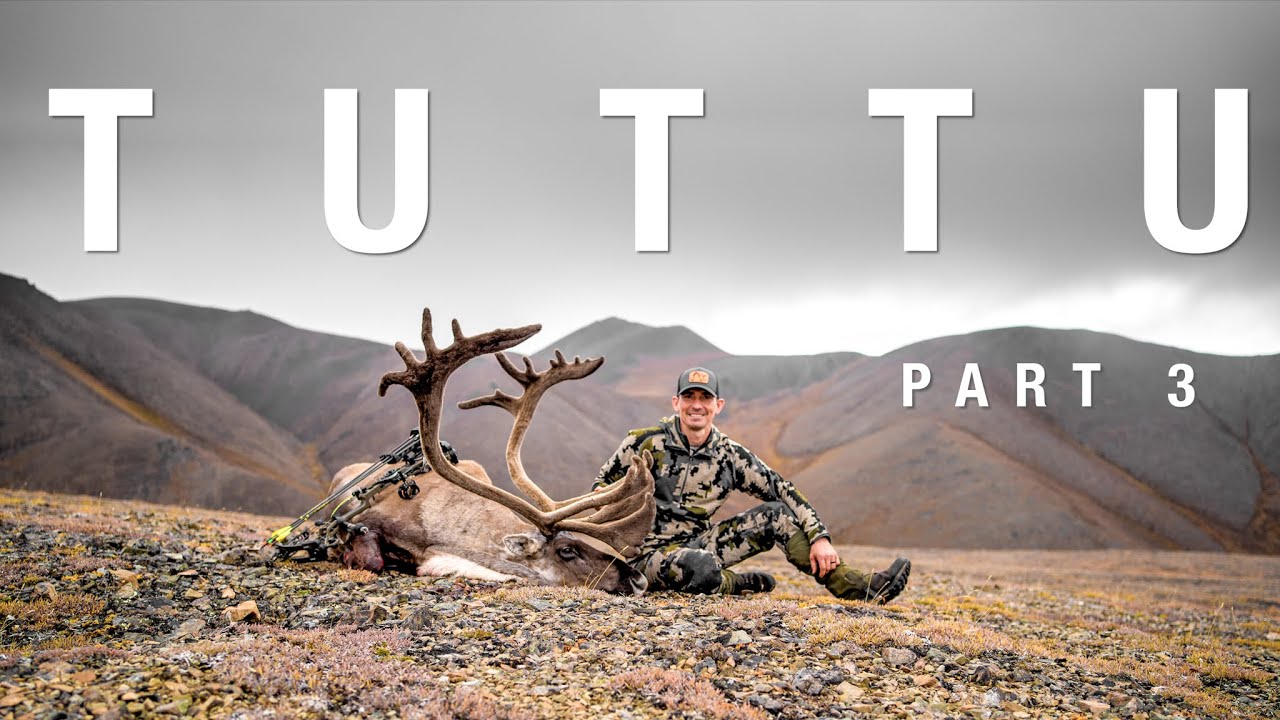 Alaska Caribou Kill with a Bow! | THE ADVISORS: TUTTU Part 3