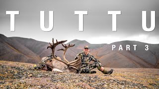 Alaska Caribou Kill with a Bow! | THE ADVISORS: TUTTU Part 3