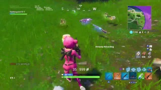 Fortnite- 100 wins - Wildcard skin- Squads