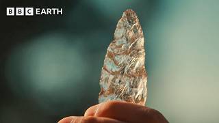 6 Objects That Changed Everything We Know About Human History Human Bbc Earth Science
