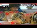 Donga Mogudu Telugu Movie || Kokamma Cheppamma Video Song || Chiranjeevi, Bhanupriya, Radhika