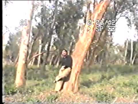 tanha thi aur hamesha se (made by NADIR HUSSAIN NADIR) mehdi...