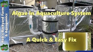 Algae in aquaculture set up, a quick & easy fix 04:02