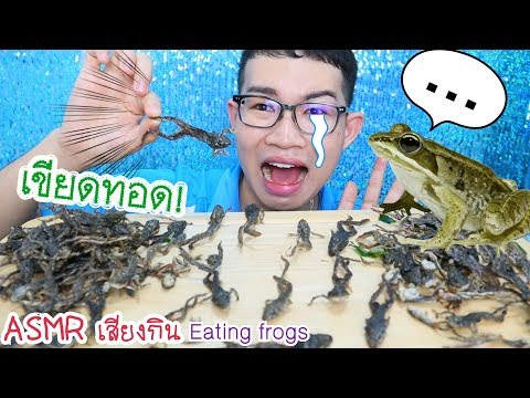 ASMR eating เสียงกิน กบ เขียดทอด ครั้งแรก Fried Small Green Frog 개구리 튀김 Mukbang :ขันติ