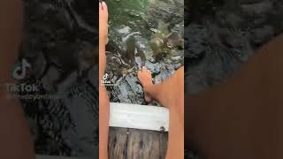 Tiktok- Mother let fish suck her toe and and her daughter says no!