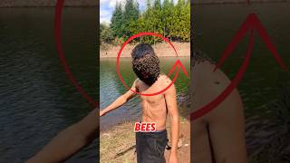 Bees Gather On Face