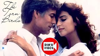 Влюбилась В Священника Поющие В Терновникеthe Thorn Birds Мэгги И Ральф Di̇wavi̇deo