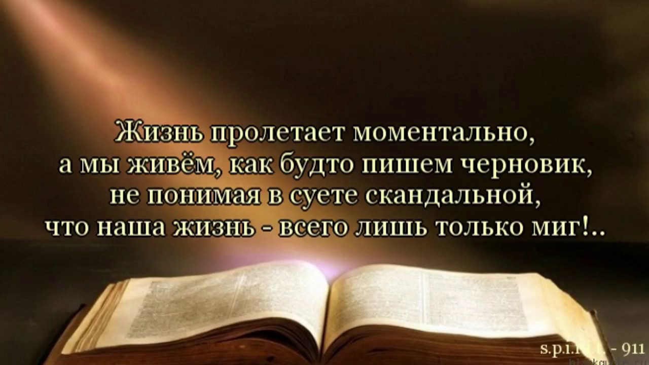 Цитаты про дальнейшую жизнь Цитаты про дальнейшую жизнь