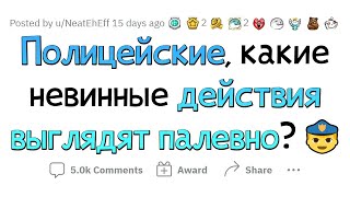 Такое Поведение Вызывает Подозрение У Полиции 🚨