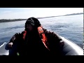 Надувная лодка GLADIATOR Е420 + тоха 25 Надувная лодка GLADIATOR Е420 + тоха 25