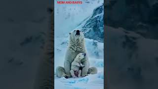 Mom And Babys