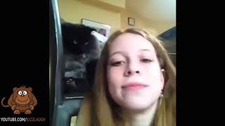 Top 100 Highlights of Animals VERY FUNNY ANIMALS New Compilation #1