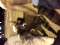 Nene beating dede ass