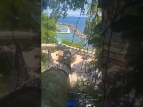 Jamaica&#039;s Dolphin Cove big water slide