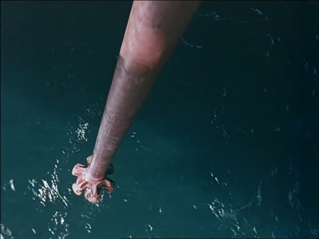 Music Videos