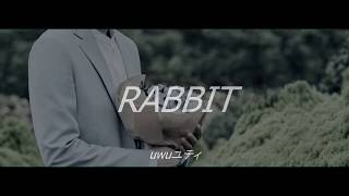 Rabbit 初音ミク-Hatsune Miku English Sub.
