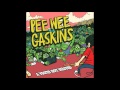 Pee Wee Gaskins - A Youth Not Wasted (Full Album) download mp3 dan video Pee Wee Gaskins - A Youth Not Wasted (Full Album)