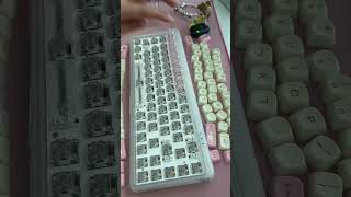 Kiiboom Transparent Pink Keycaps Are So Cuteeee Life In Abu Dhabi