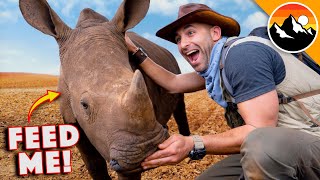 Cutest Baby Rhino Ever!