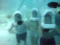 Coolness Underwater