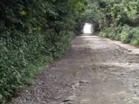 O Vai E Vem Do Carreiro Video
