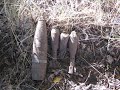 Один день из вылазки 