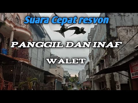 SUARA RESPON CEPAT PANGGIL INAP WALET KERASAN 4