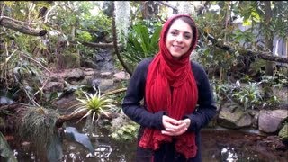 ارمیا روز طبیعت بر همه ی شما نازنینان فرخنده باد.