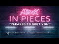 Pleased To Meet You Video preview