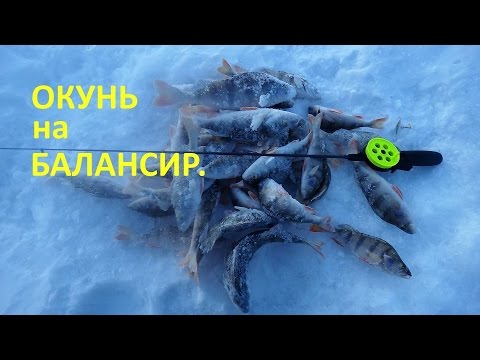 весенняя ловля окуня на блесну видео весенняя ловля окуня на блесну видео