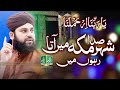 Tere Dar Ke Phere Lagata Rahu - Hafiz Ahmed Raza Qadri - New  Mehfil - Bisillah Video Function