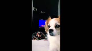 Bayanlar İçi̇n Snap Kizlar