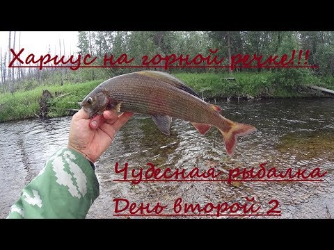 ловля хариуса на абакане ловля хариуса на абакане