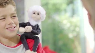Dave The Funky Monkey - القرد الظريف دايف