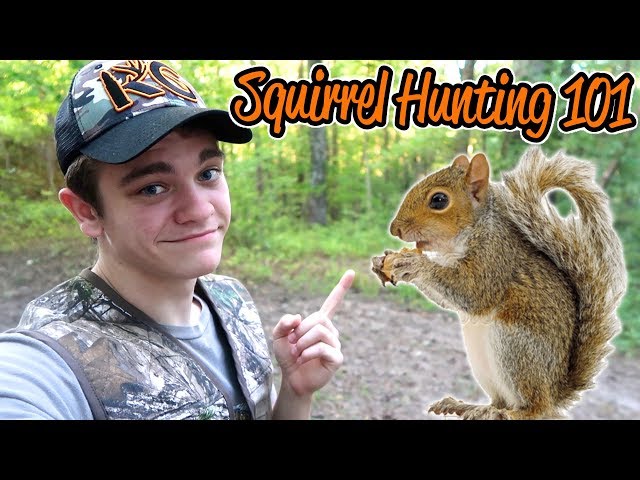 Watch How to Hunt Squirrels - Squirrel Hunting 101 on YouTube.