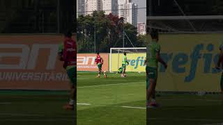 gF183b1z82A Video Image