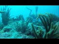 Caribbean Dive College: The Maze / Cable Reef