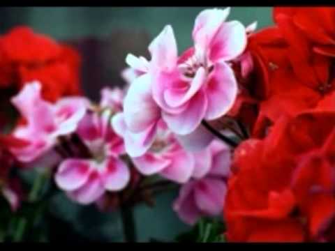 Hemlata Songs Collection |Jukebox| - HQ
