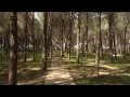 Portoada Park Video launched by Calabria Management Services Video
